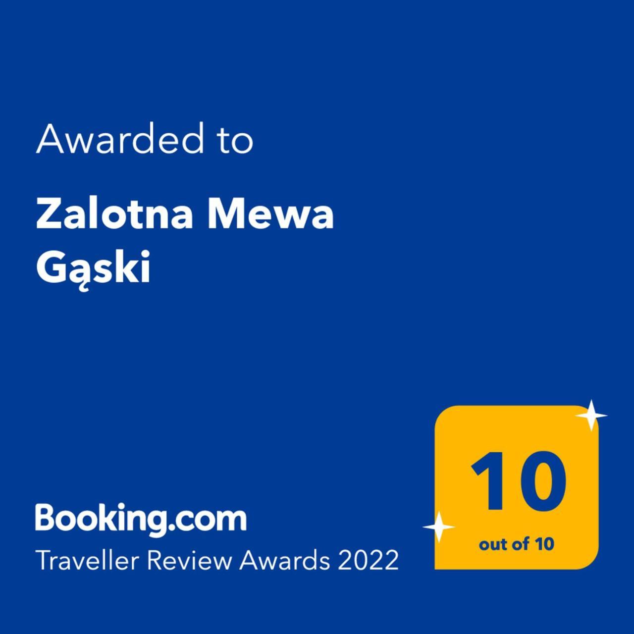 Zalotna Mewa Gaski (Koszalin)